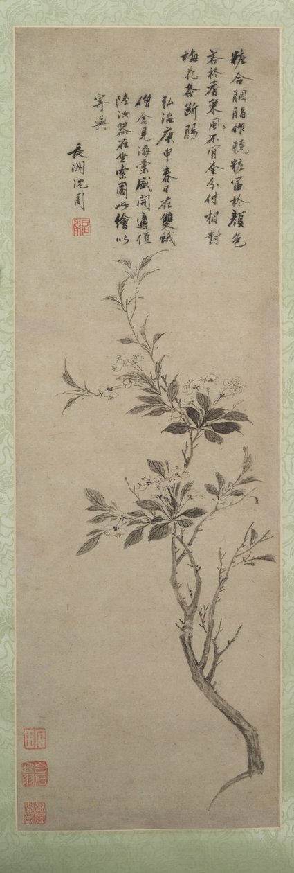 花蟹苹果，1500。 作者 神舟