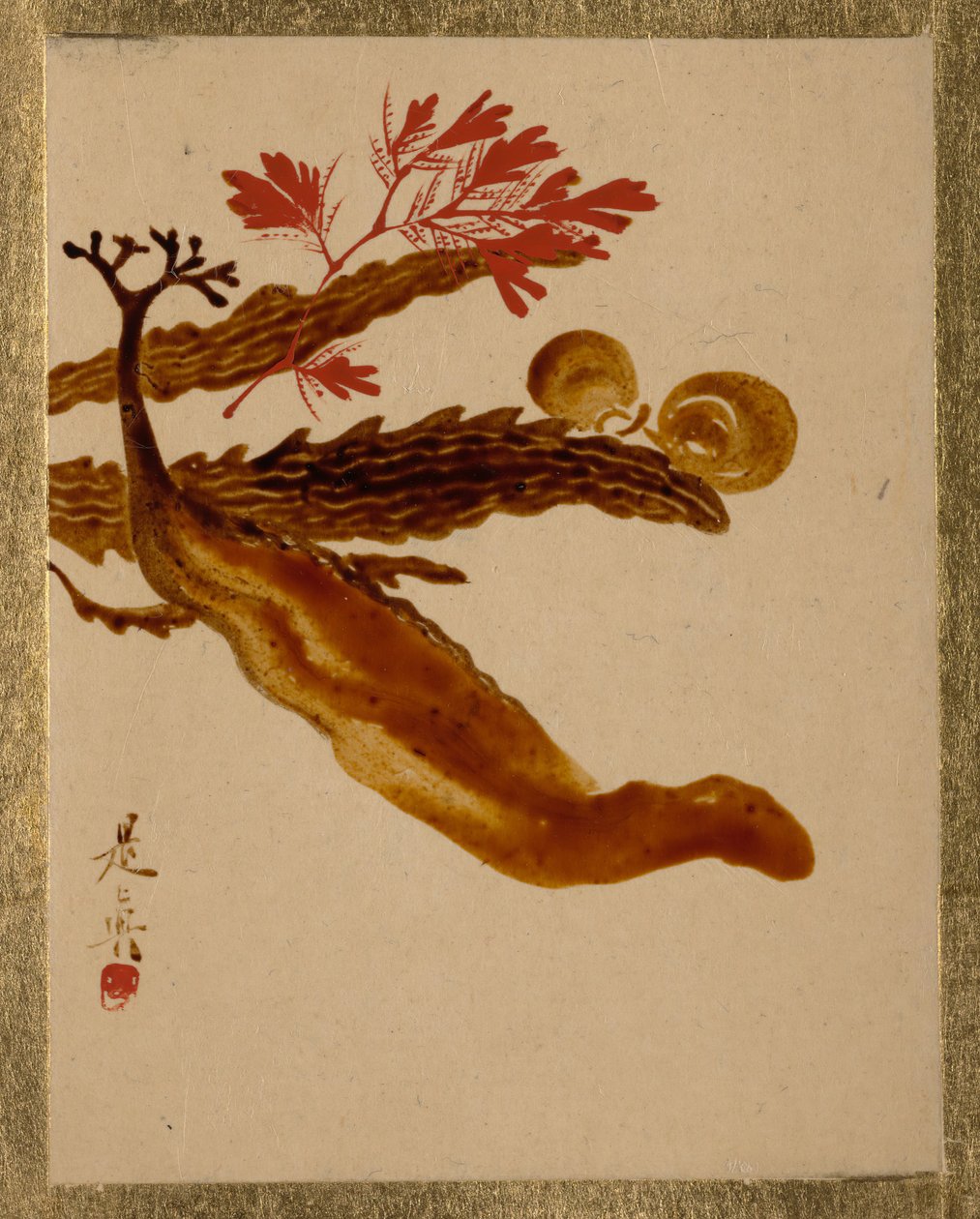 海藻。 作者 Shibata Zeshin