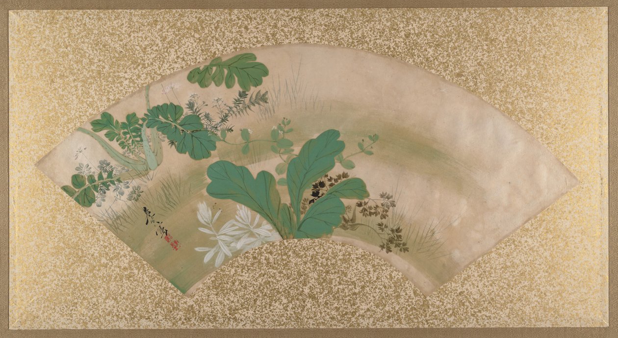 各种植物和草，十九世纪末。 作者 Shibata Zeshin