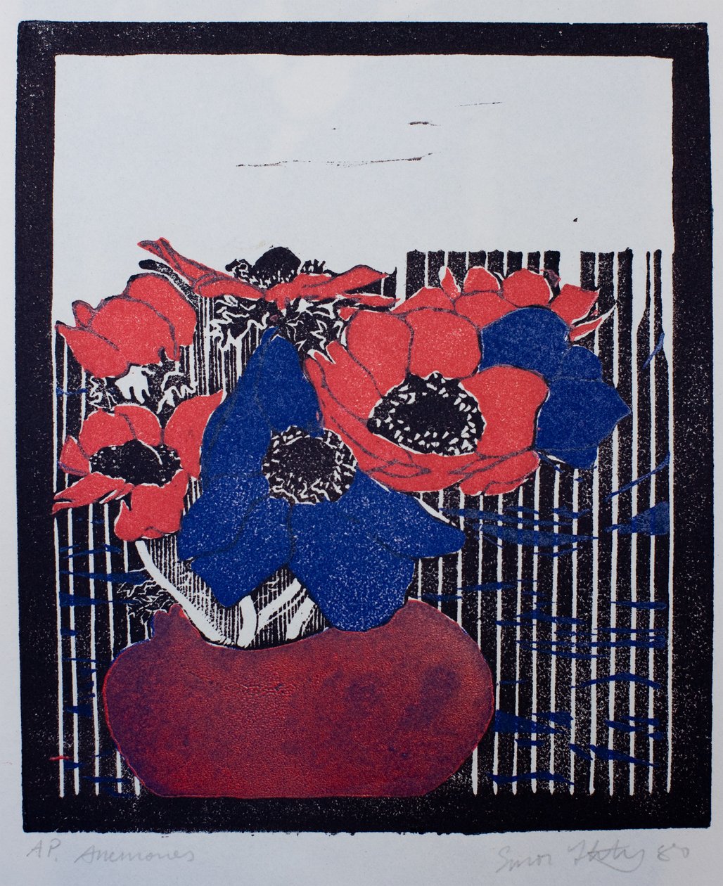 海葵 作者 西蒙·弗莱彻