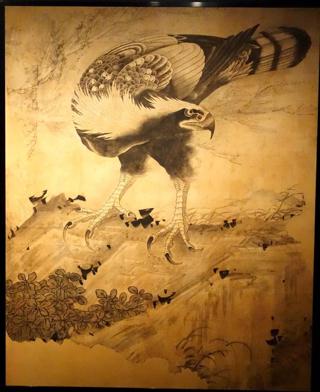 霍克 作者 曾我翔博