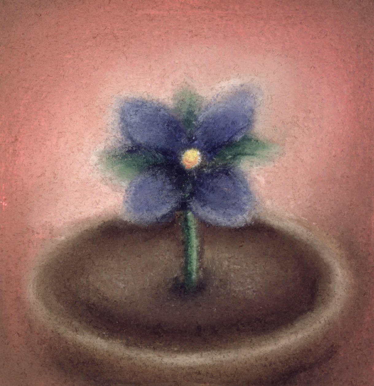 小花（纸上粉彩画） 作者 苏菲·哈克