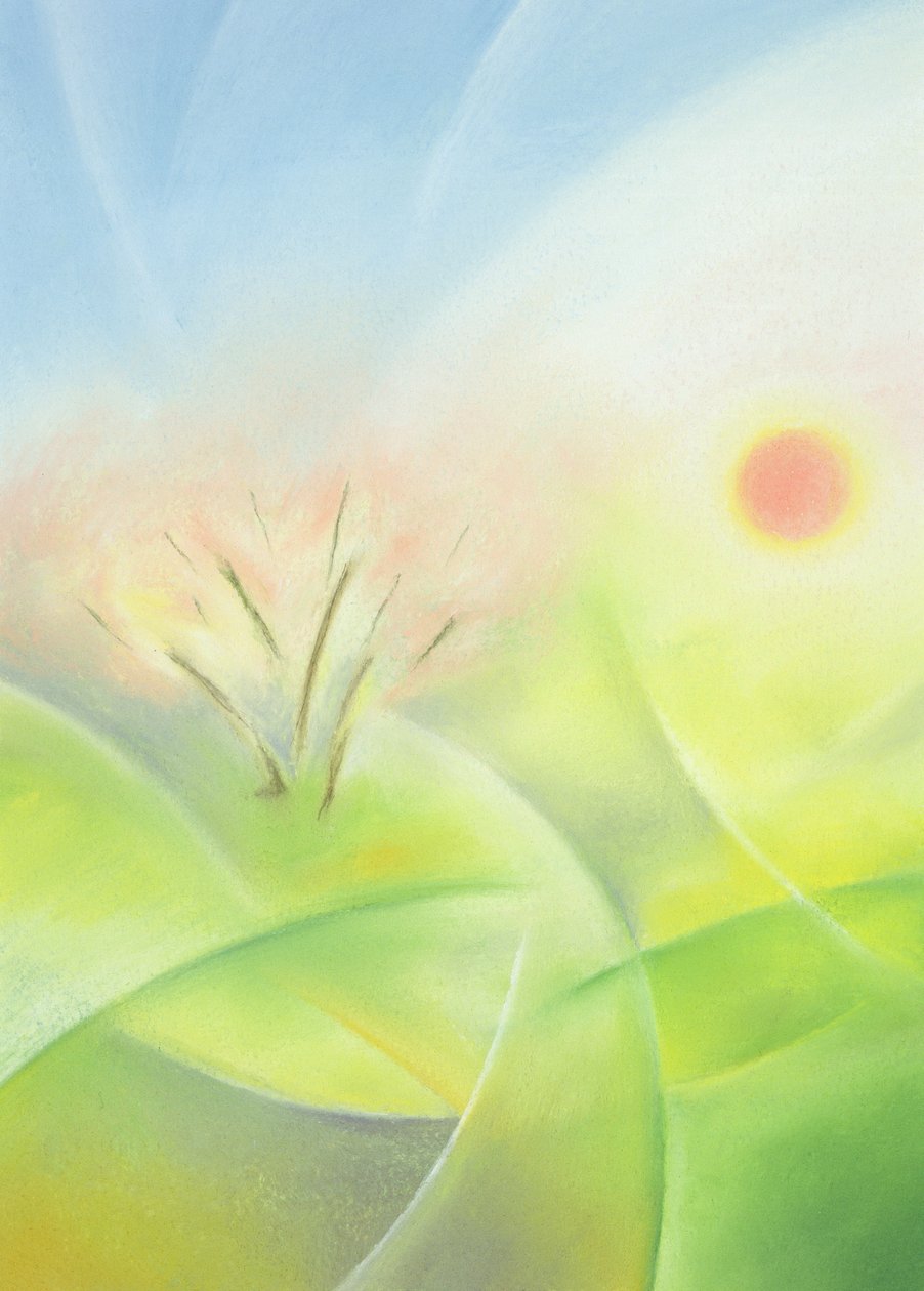 春季 作者 苏菲·哈克