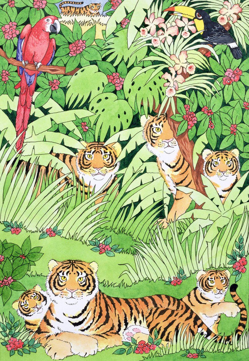 老虎丛林 作者 苏珊·贝利（Suzanne Bailey）