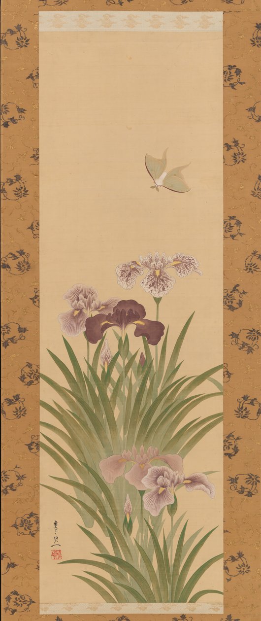 鸢尾花和蛾，ca。 1850年。 作者 铃木纪津