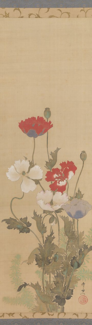 罂粟花，19世纪中期。 作者 铃木纪津