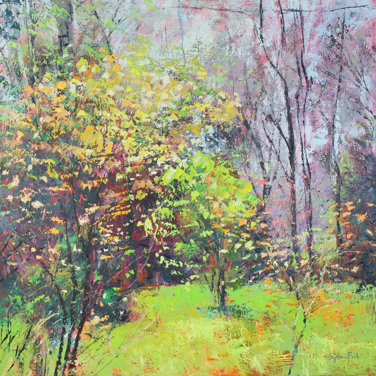 Spring Sparkle 作者 西尔维娅·保罗