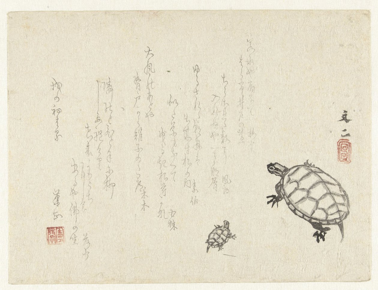 两只海龟 作者 谷文治