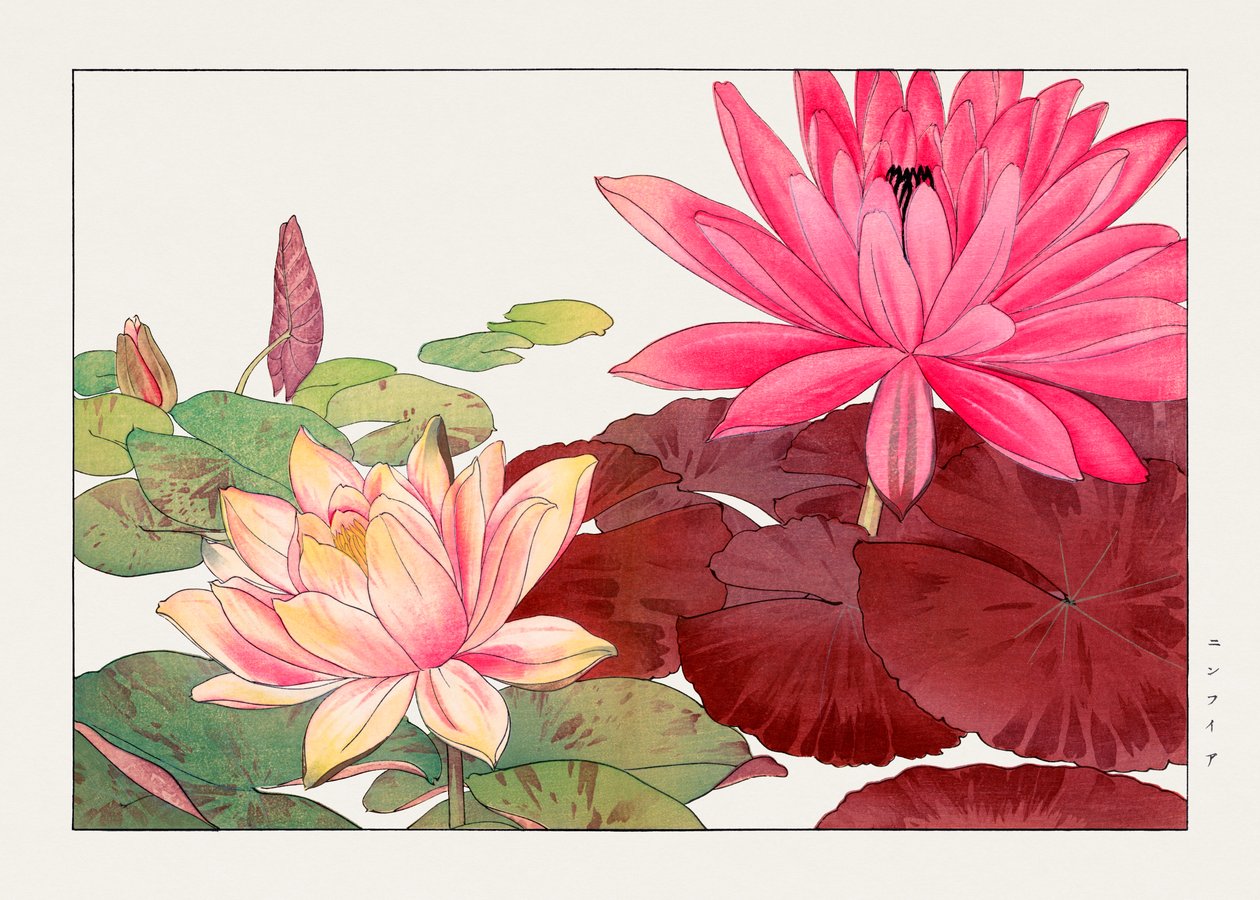 圣友所和府》中的莲花 作者 谷上港南