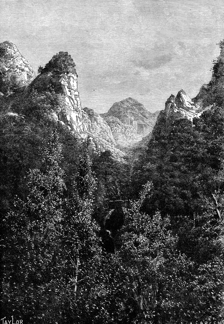 葡萄牙马德拉岛，1895年。 作者 泰勒