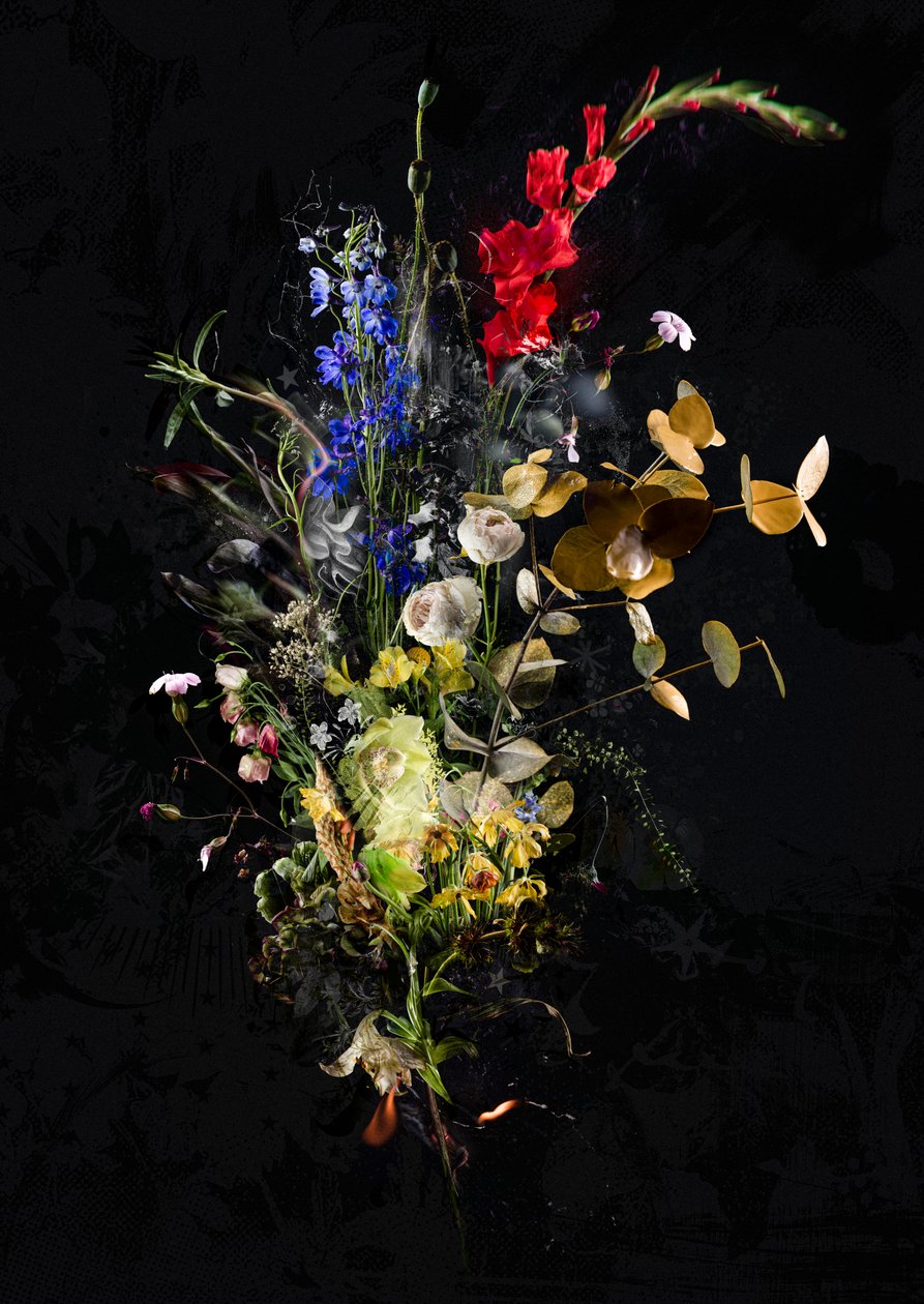 Bouquet XXXIII, 2020 (照片) 作者 泰斯·阿尔伯斯