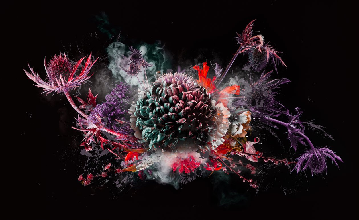花束 X，2016 年（照片） 作者 泰斯·阿尔伯斯
