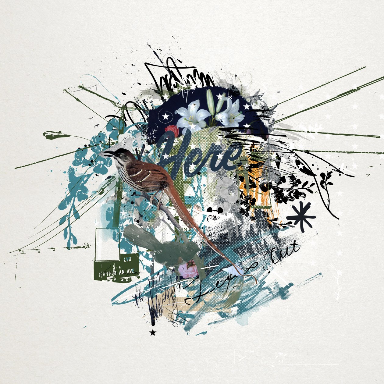 就在这里，2015（帆布拼贴画） 作者 泰斯·阿尔伯斯