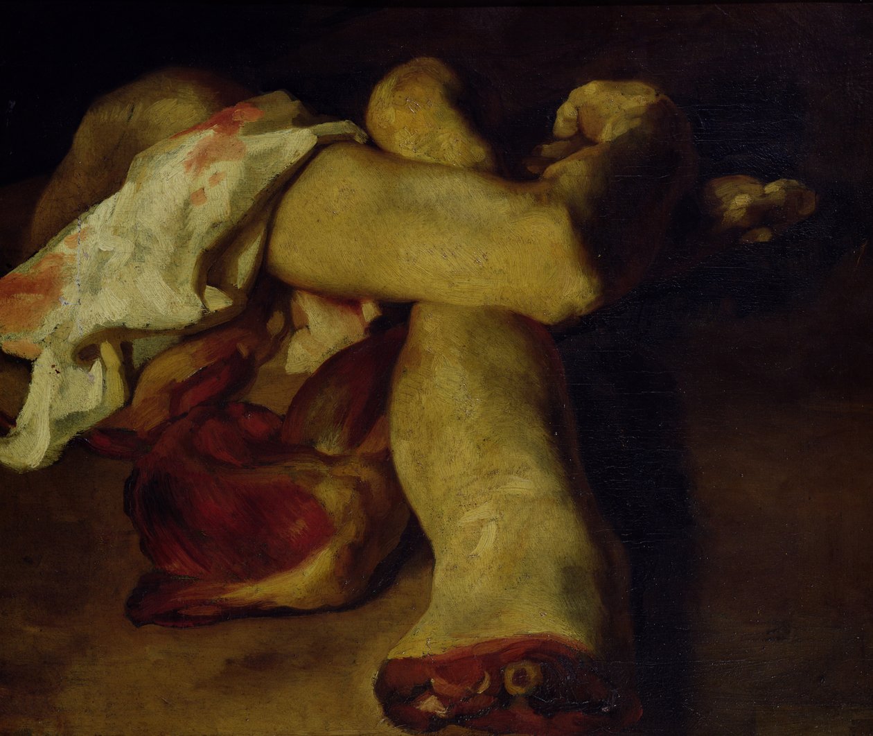 解剖片（布面油画） 作者 西奥多·杰里科（Theodore Gericault）