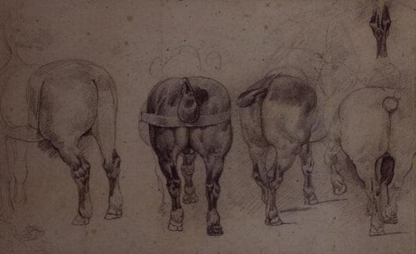驾驭马匹（铅笔 作者 西奥多·杰里科（Theodore Gericault）