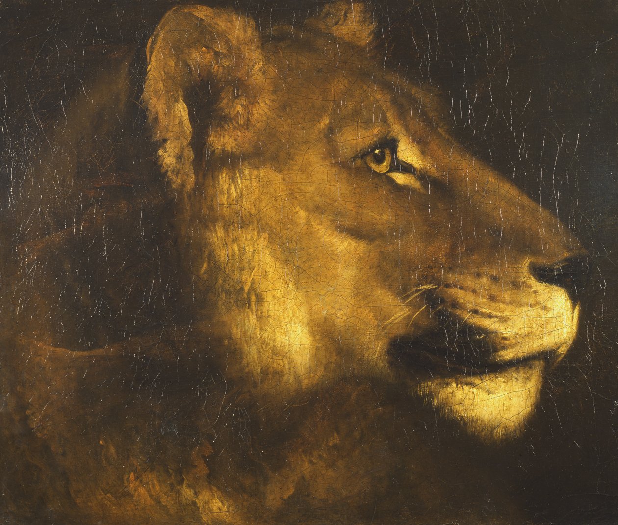 母狮的头 作者 西奥多·杰里科（Theodore Gericault）