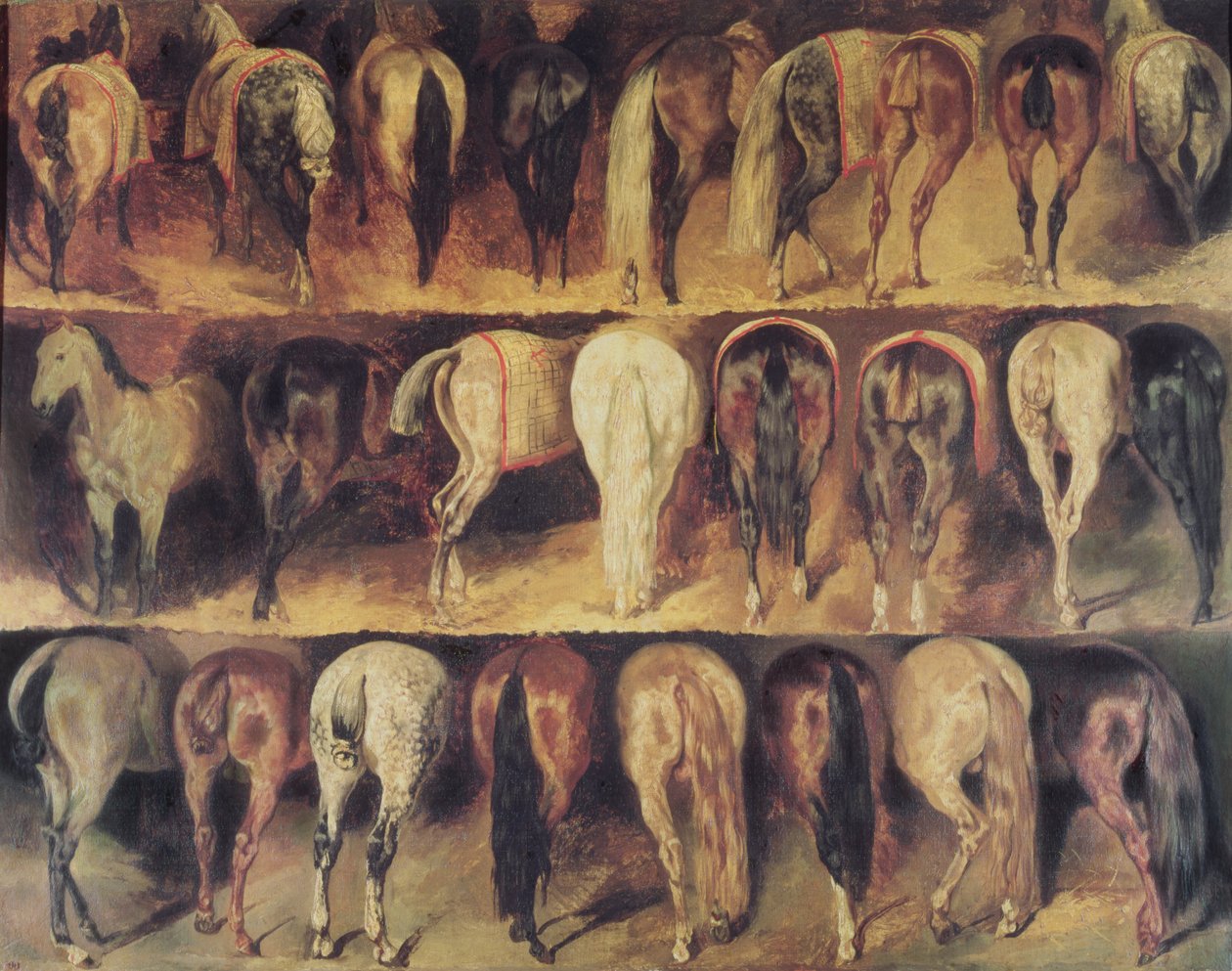 马的后躯 作者 西奥多·杰里科（Theodore Gericault）