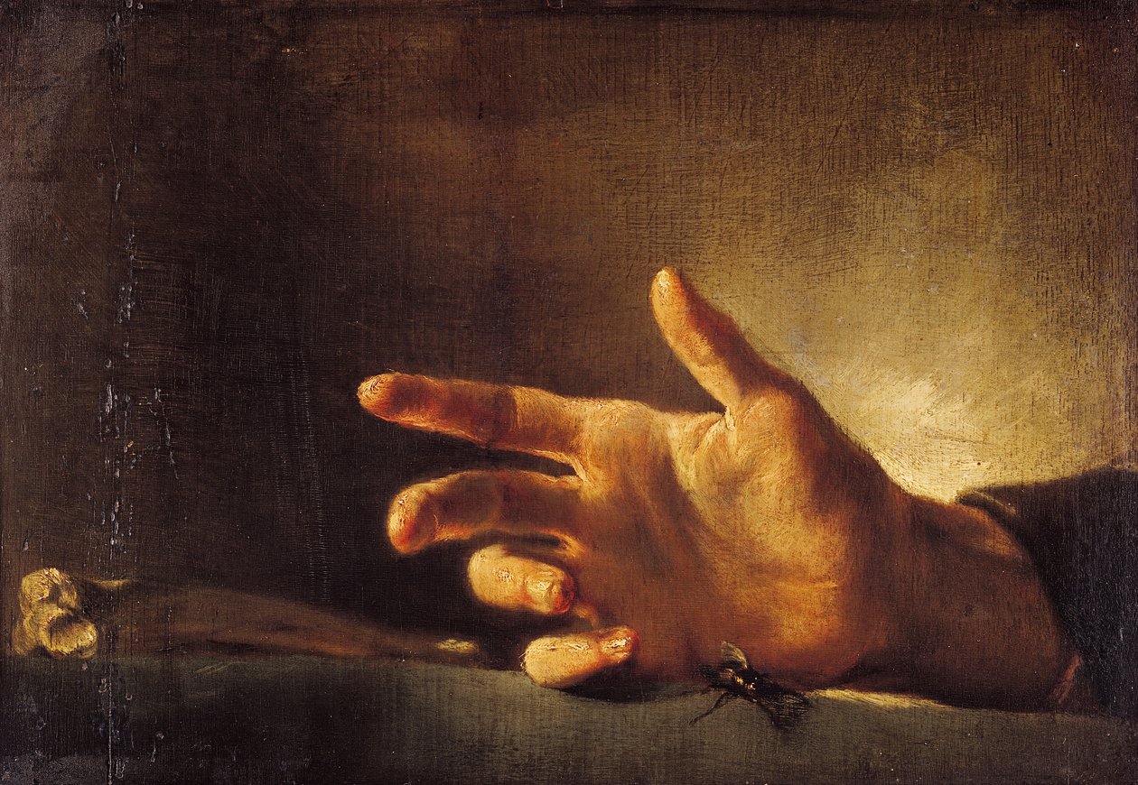 研究一只手 作者 西奥多·杰里科（Theodore Gericault）