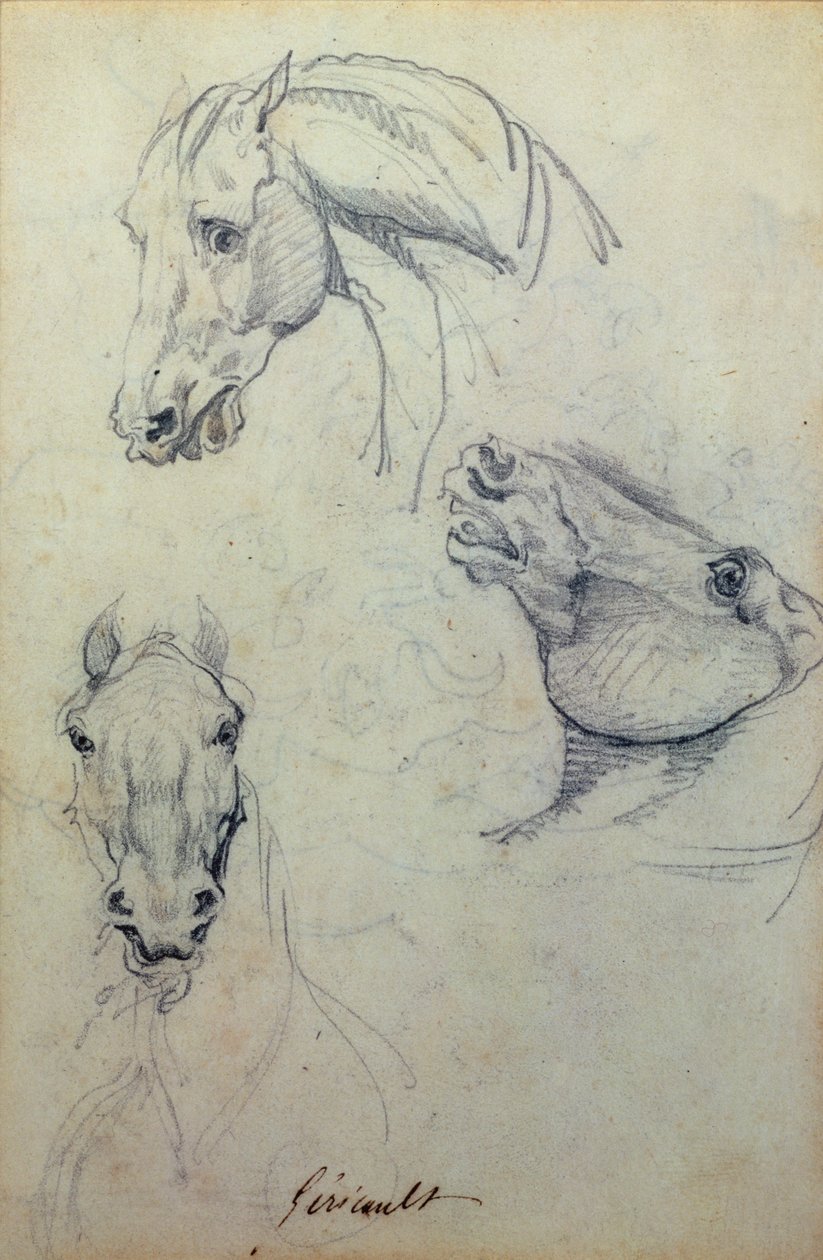 三个马头（铅笔） 作者 西奥多·杰里科（Theodore Gericault）