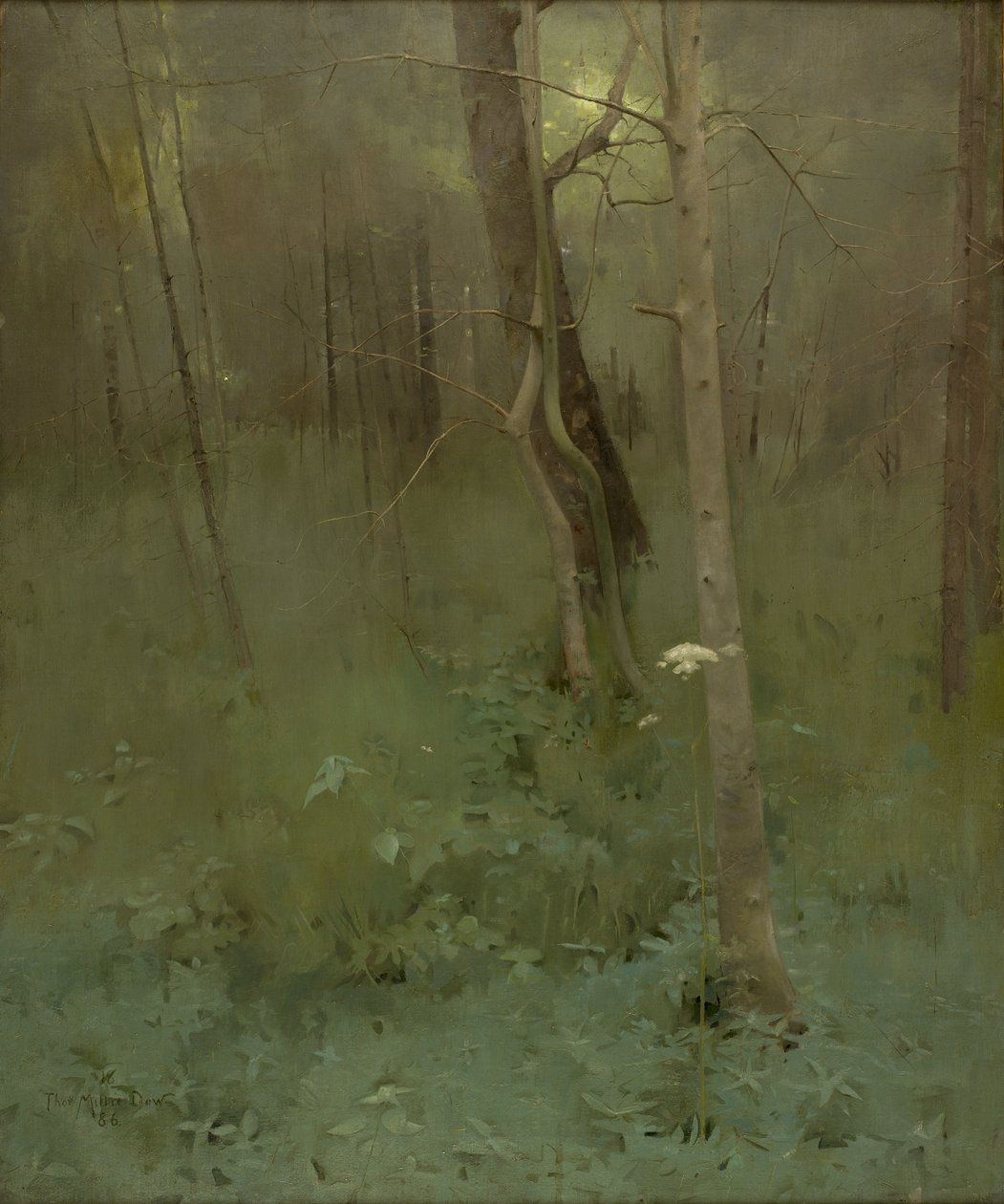 树木，1886年 作者 托马斯·米莉·道