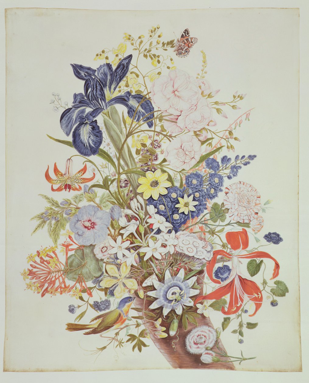 PD.915-1973聚宝盆中的混合花，c.1768（wc和牛皮纸上的水粉） 作者 托马斯·罗宾斯