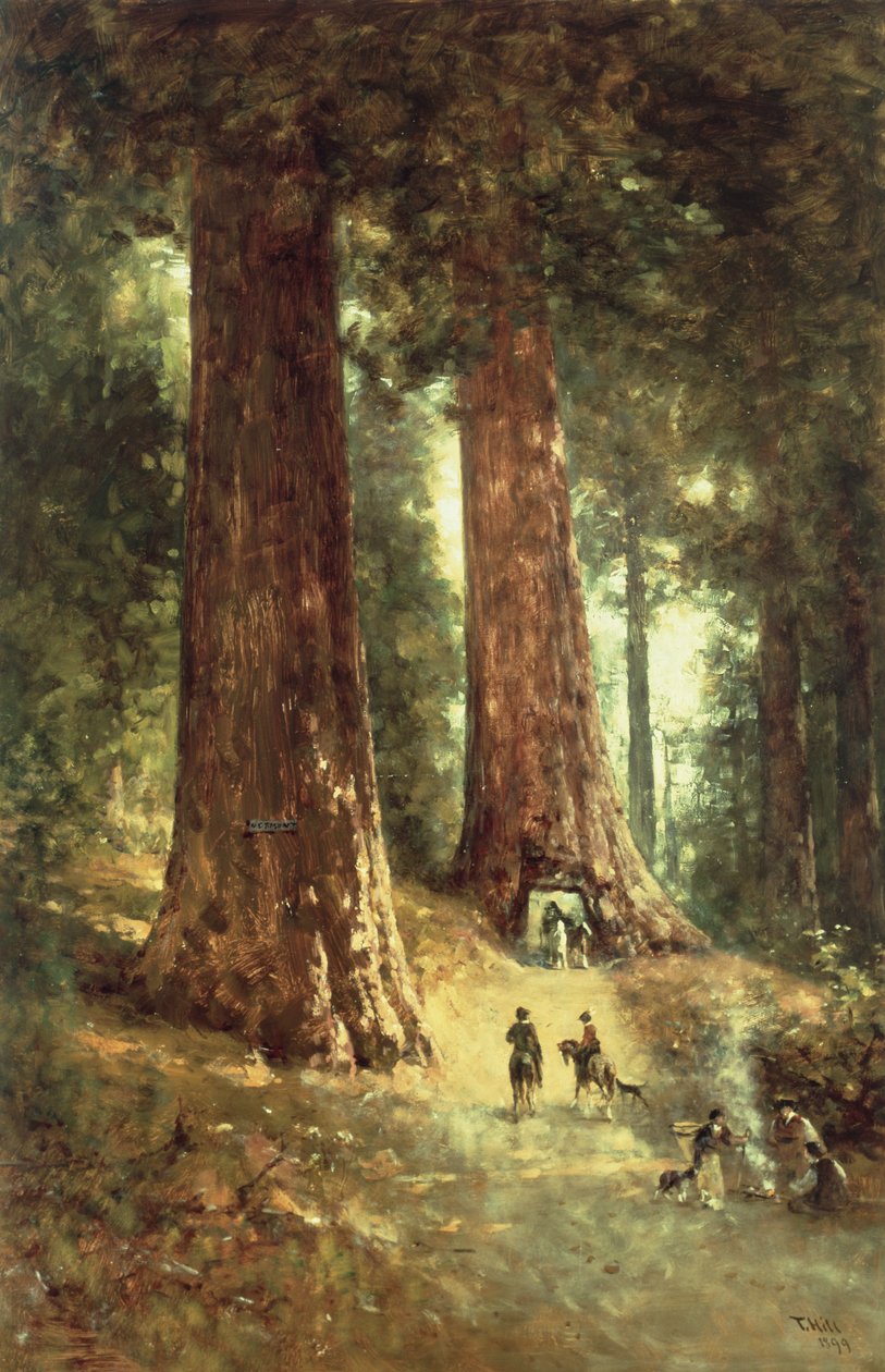 在红杉，1899年 作者 托马斯·希尔