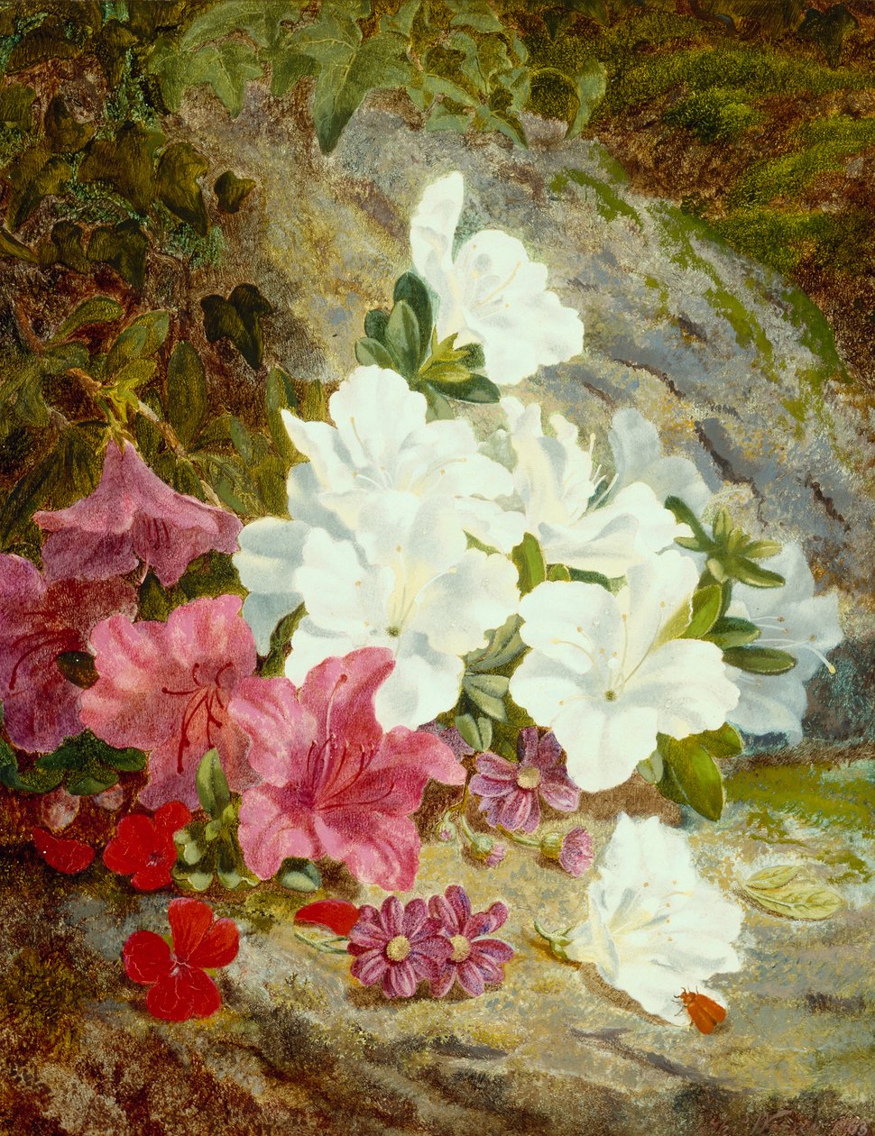 杜鹃花（布面油画） 作者 托马斯·沃西