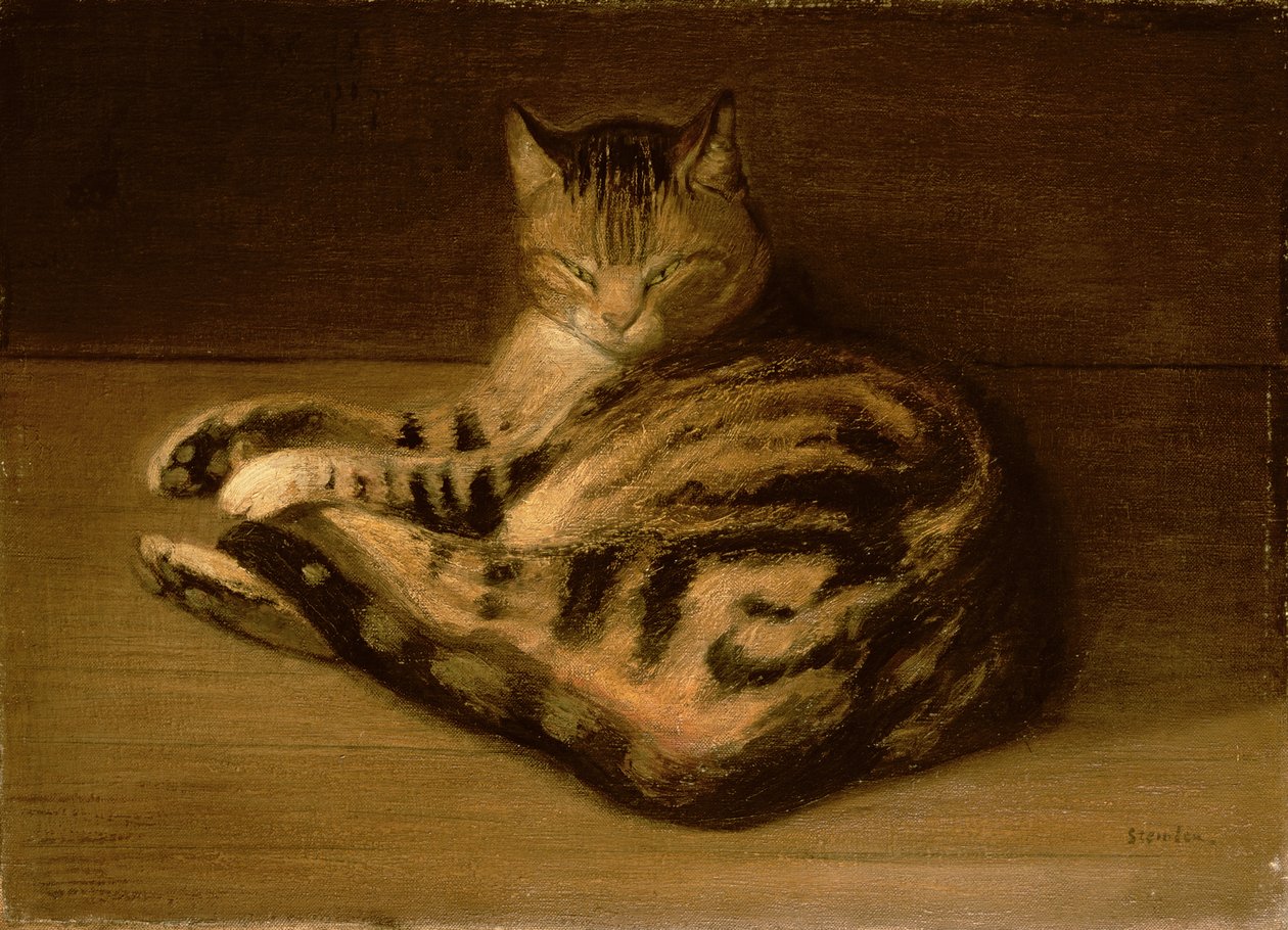 卧姿猫，1898年 作者 西奥菲勒·亚历山大·斯坦伦