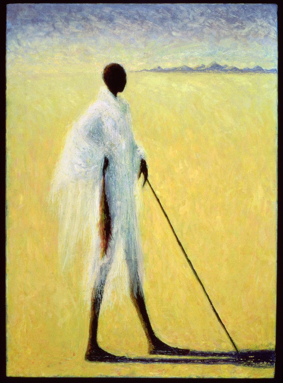 长影，1993 作者 蒂莉·威利斯