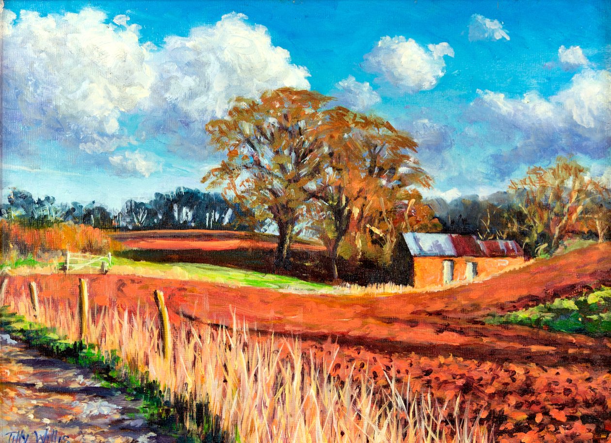 乡村谷仓，2014， 作者 蒂莉·威利斯