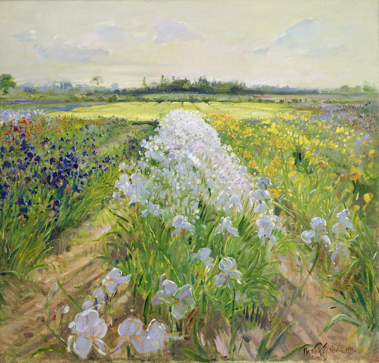 下线，1995年 作者 蒂莫西·伊斯顿