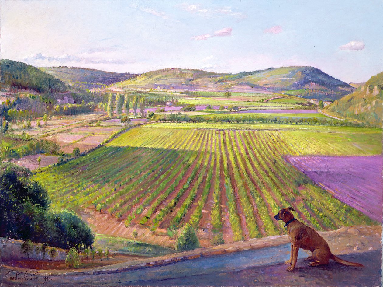 看着墙壁，老普罗旺斯，1993 作者 蒂莫西·伊斯顿