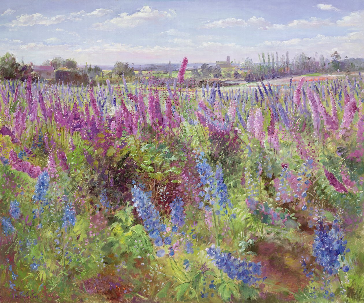 Delphinium Field and Church 作者 蒂莫西·伊斯顿