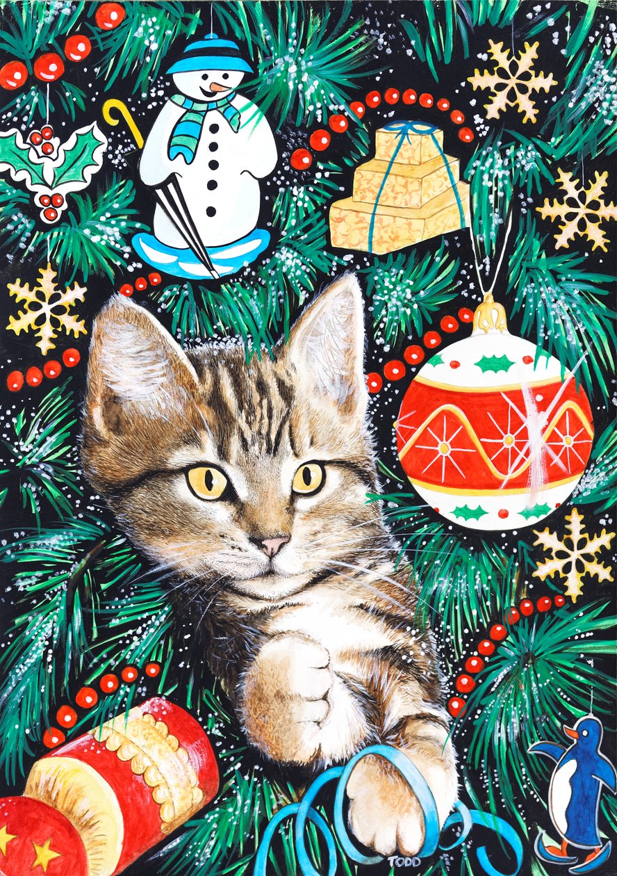 虎斑猫圣诞小猫 作者 托尼·托德