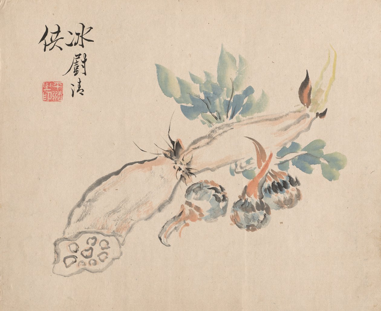 莲Ro和加法舌。 作者 椿金山
