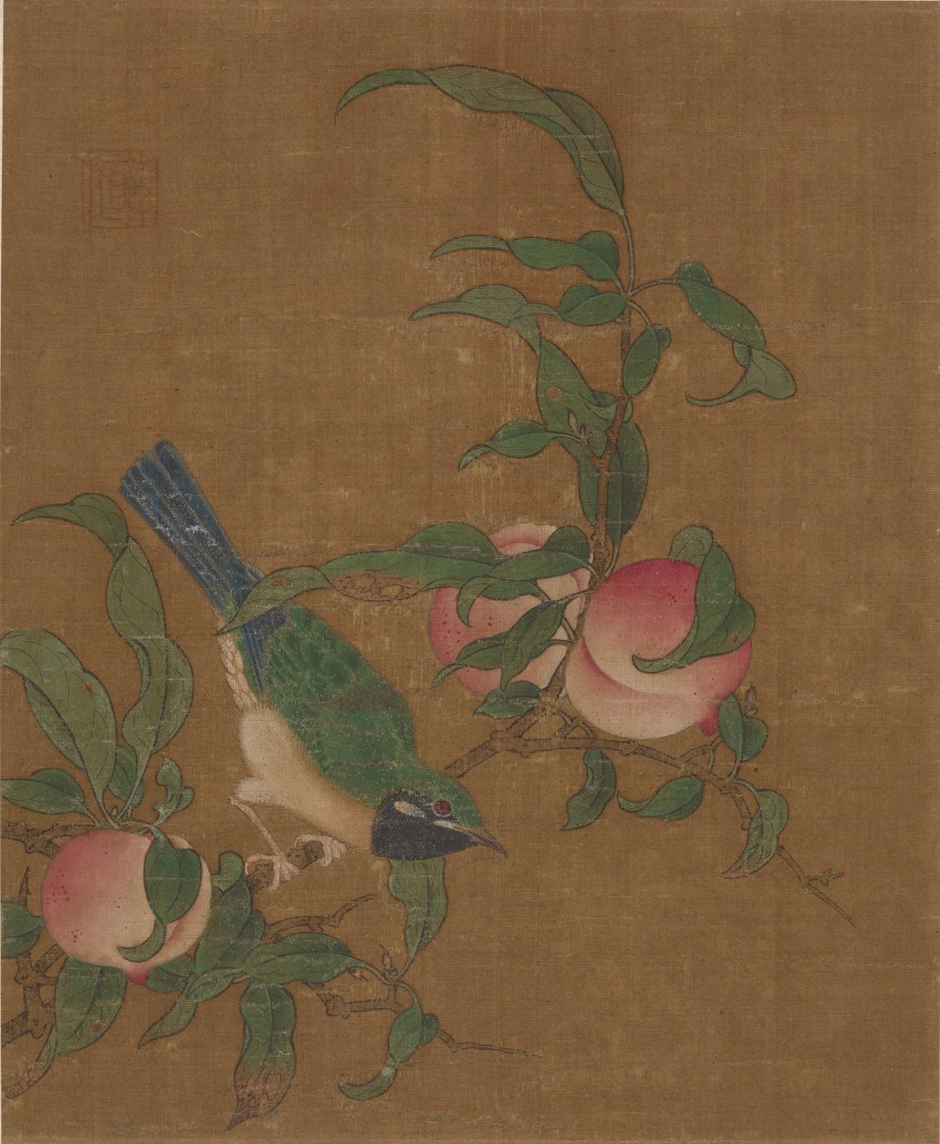 杏树枝上的鸟 作者 未知未知