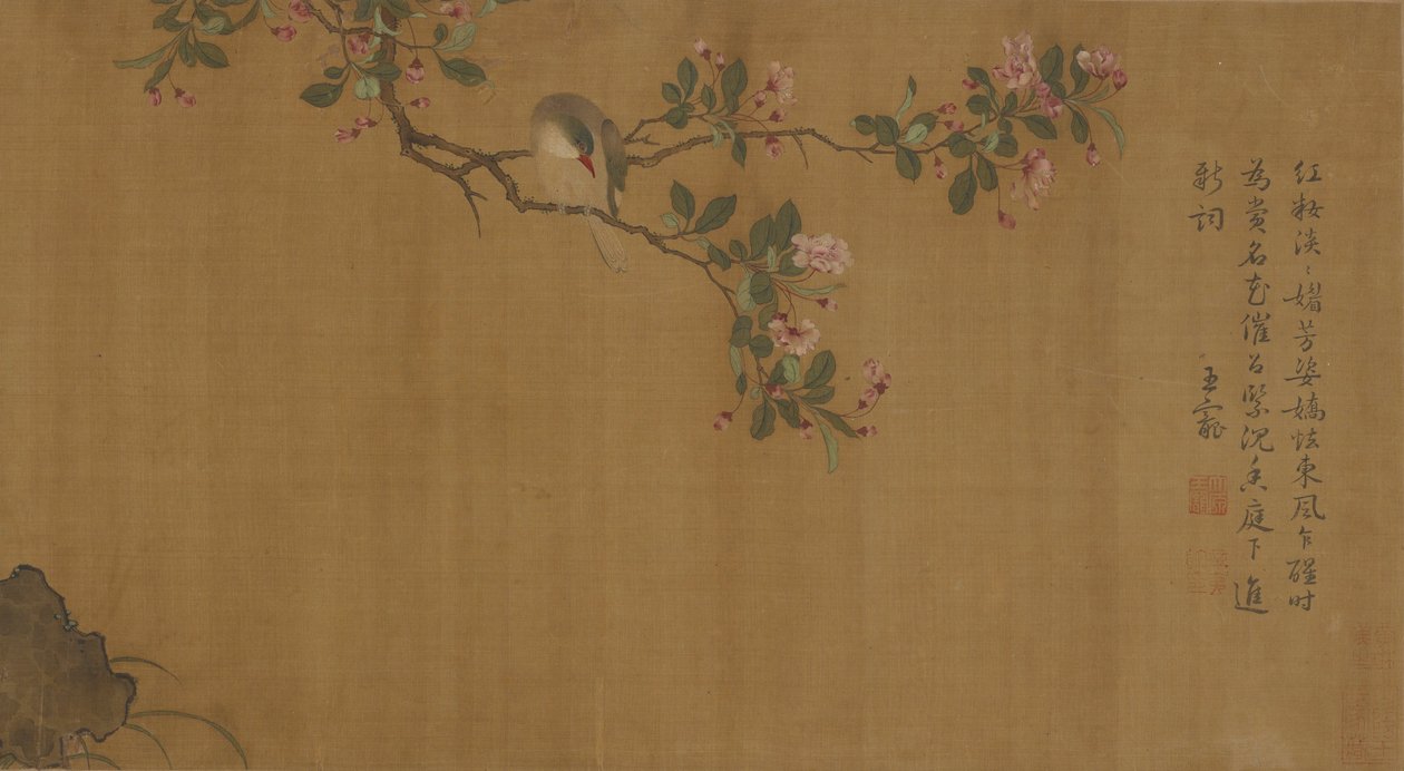 花鸟 作者 未知未知