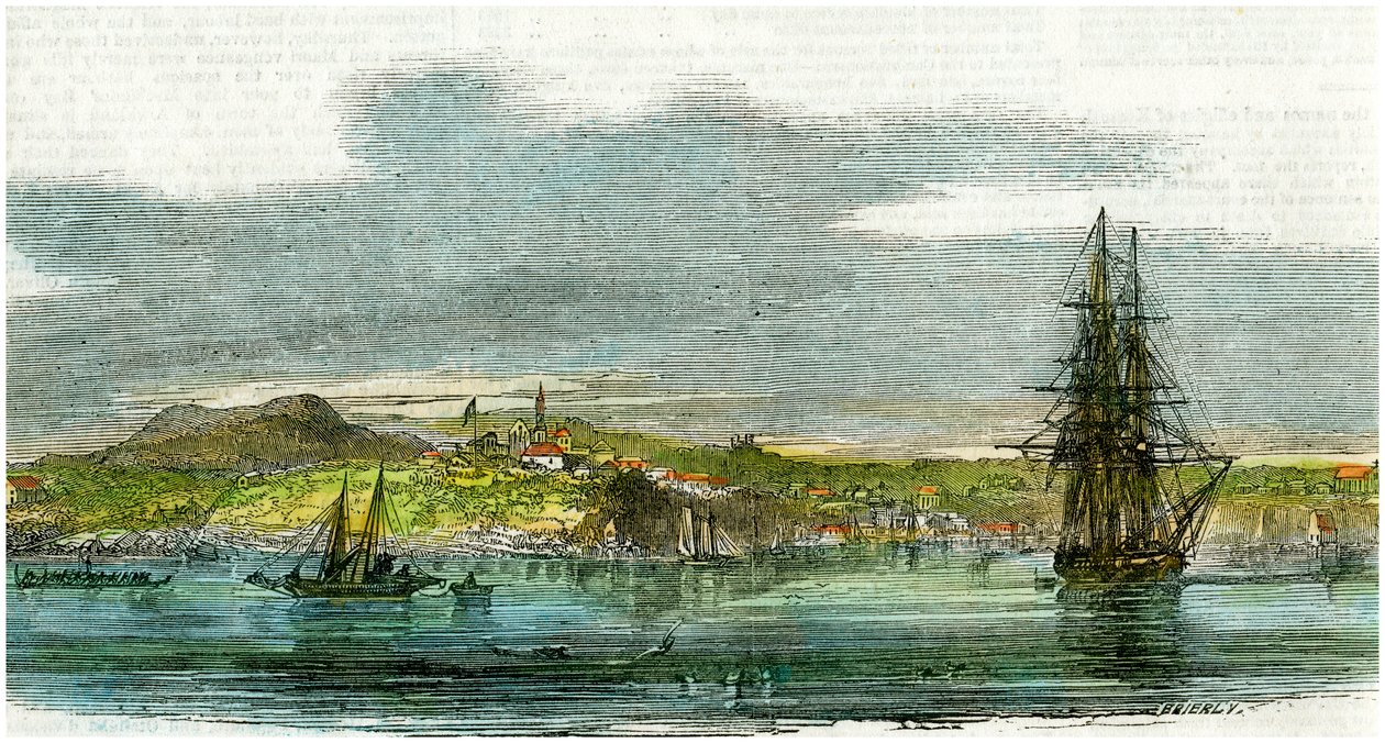 新西兰奥克兰，c1880 作者 不明