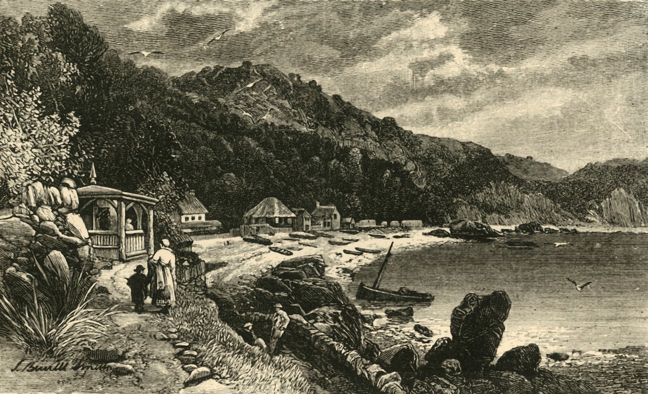 巴比科姆湾，1898年。 作者 不明