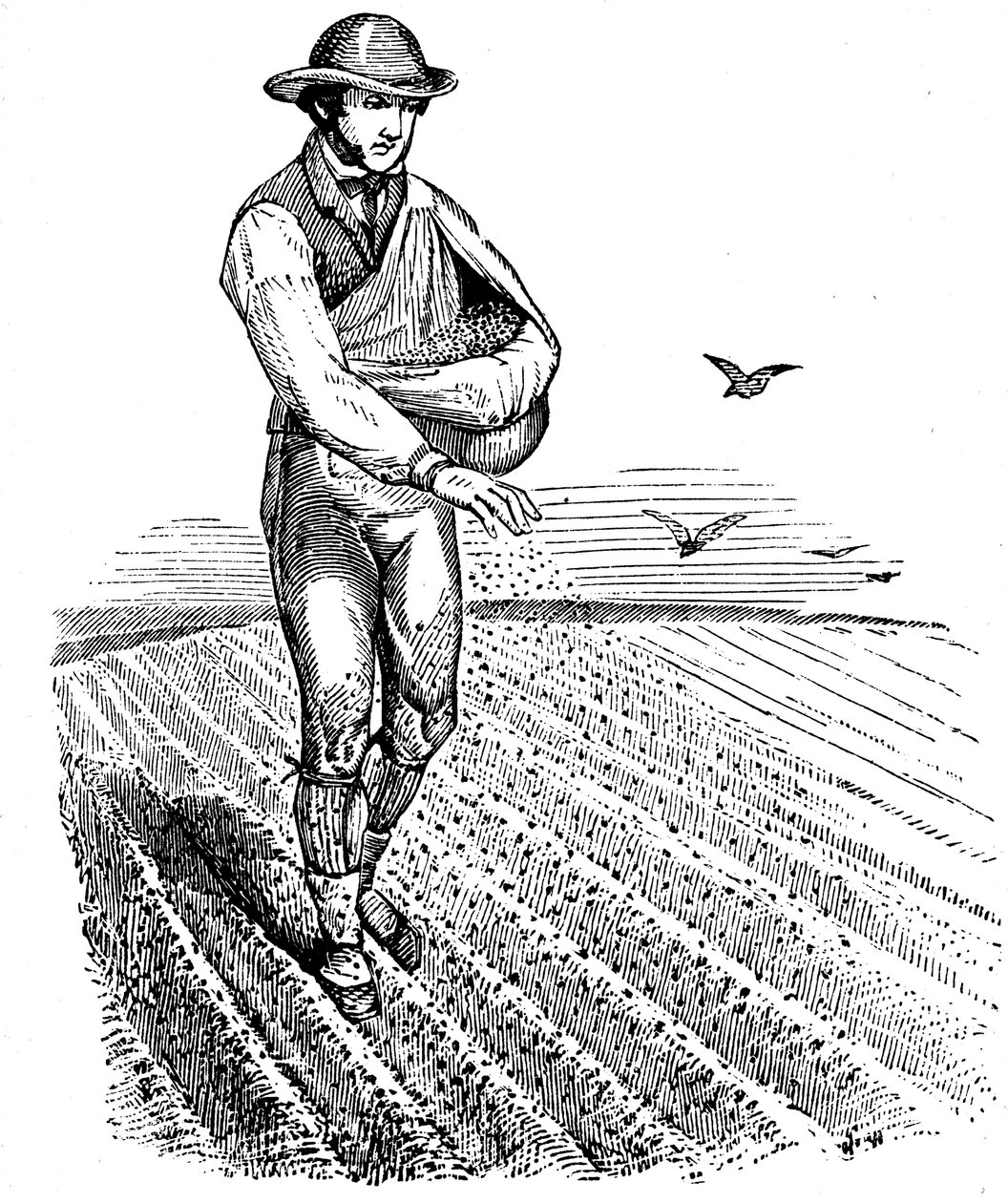 轮作：播种，1855年 作者 不明