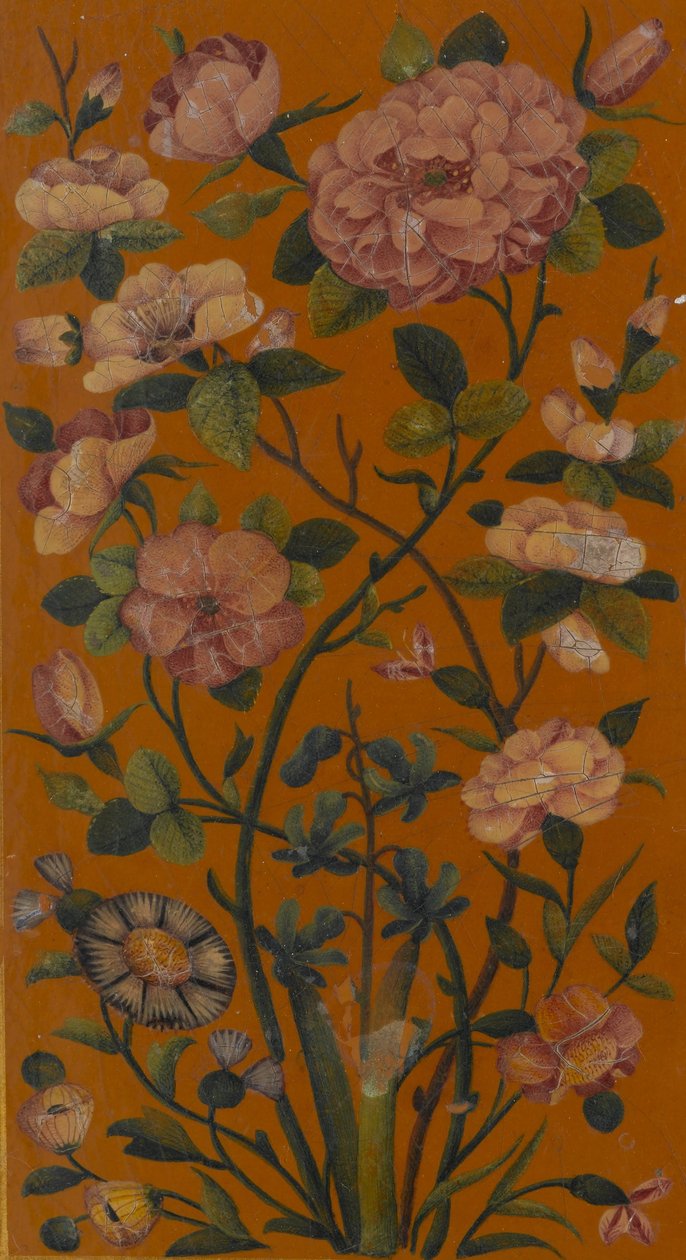 花卉细节，阿拉伯语祈祷书 作者 不明