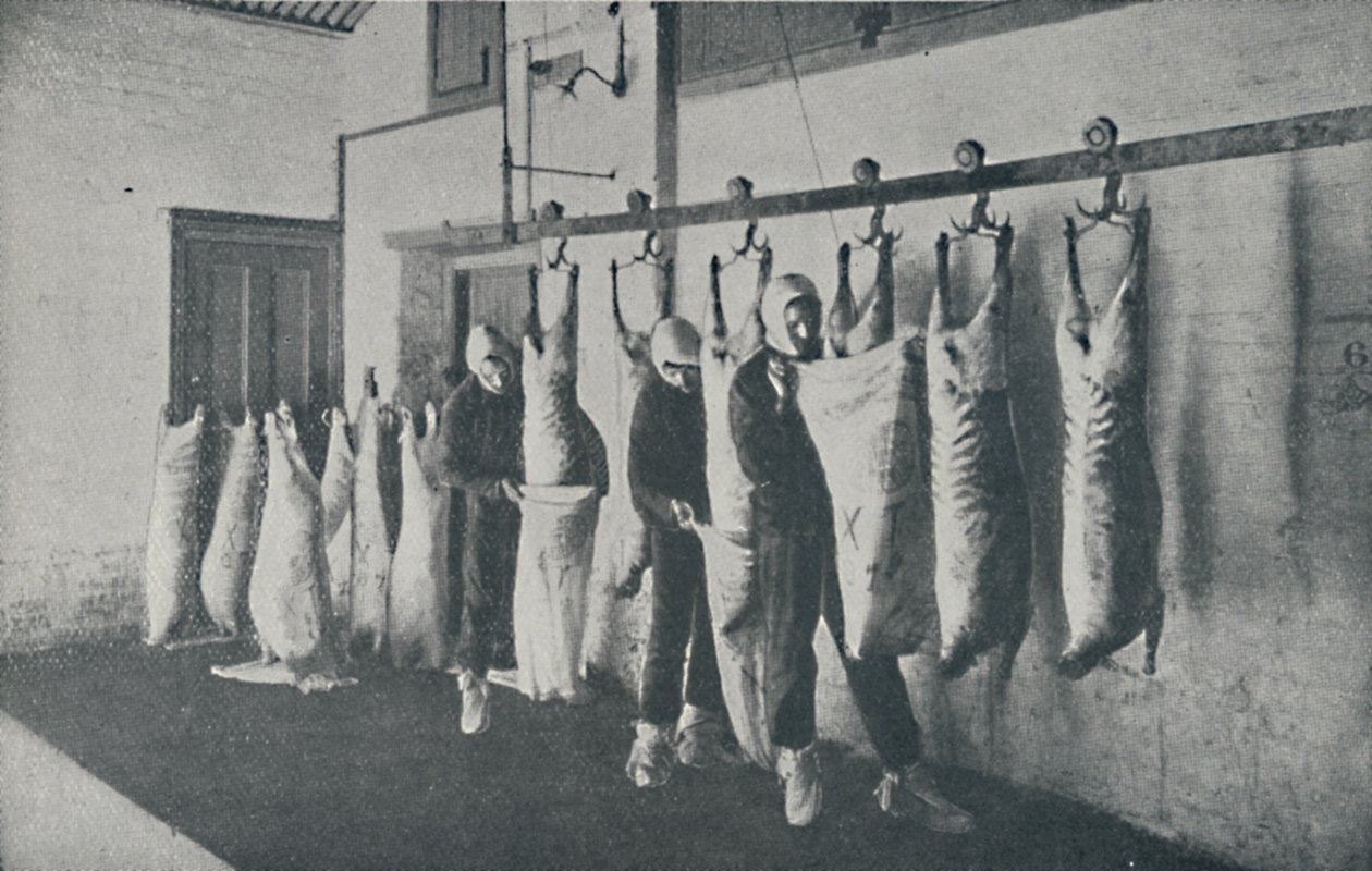 冷冻肉，1910年 作者 不明