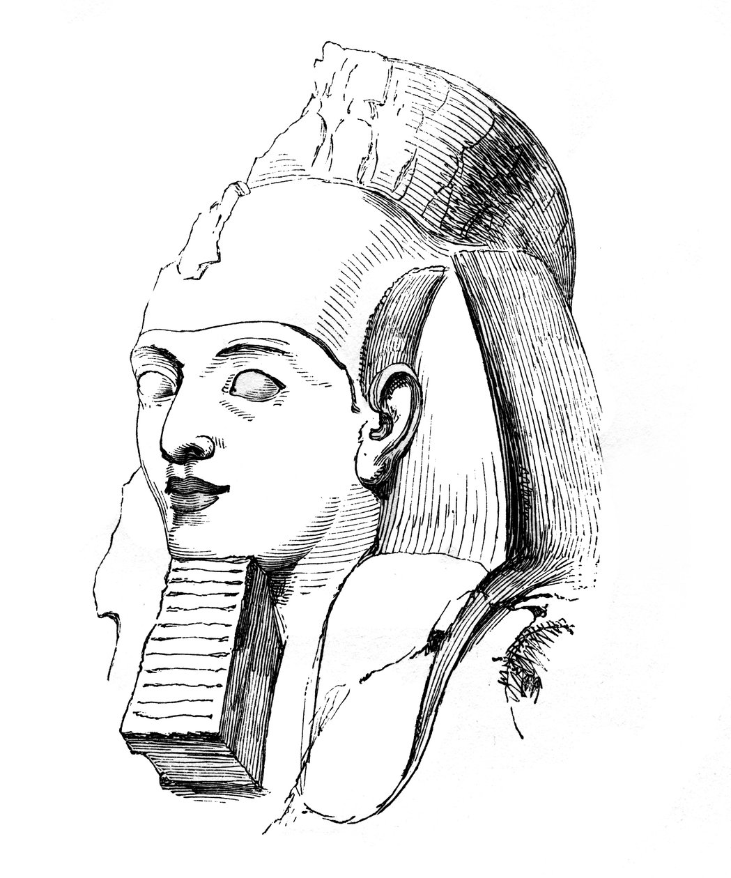 拉美西斯元首，1848年 作者 不明