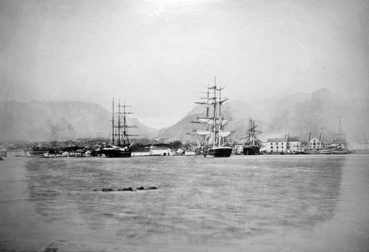 夏威夷檀香山，1885-1890年 作者 不明