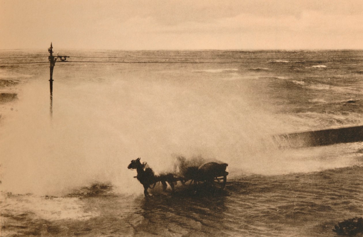 浪潮中c1928 作者 不明