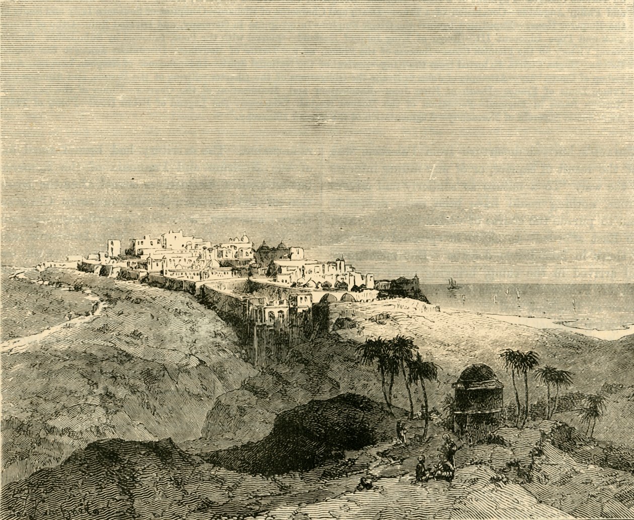 贾法，1890年。 作者 不明
