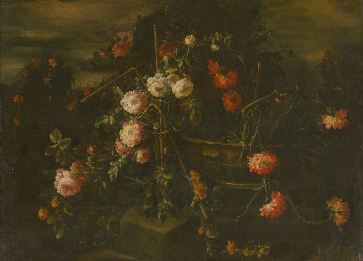 大自然中的花朵 作者 不明