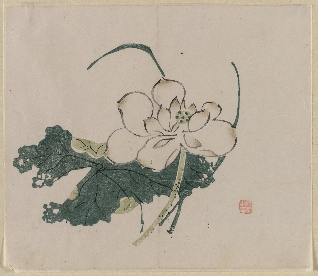 莲花（1368-1644）。 作者 不明