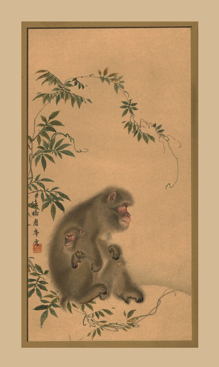 猴，19世纪，1886年 作者 不明