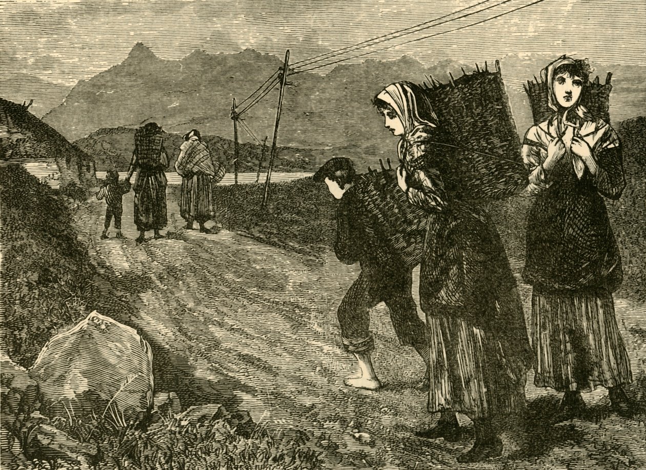 1898年的土著人争取泥炭。 作者 不明